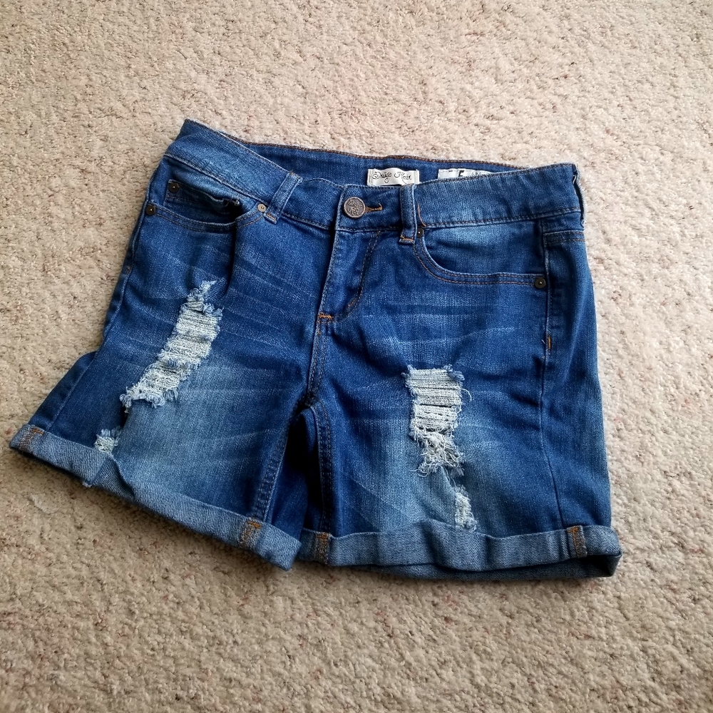 Indigo Rein Distressed Shorts
